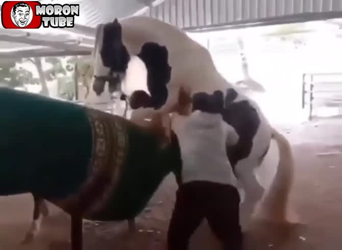 Video :Now who's going to ride